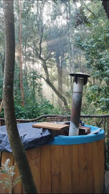 Domo el avellano inmerso en el bosque con tinaja incluida - Casa de 2 dormitorios - 11