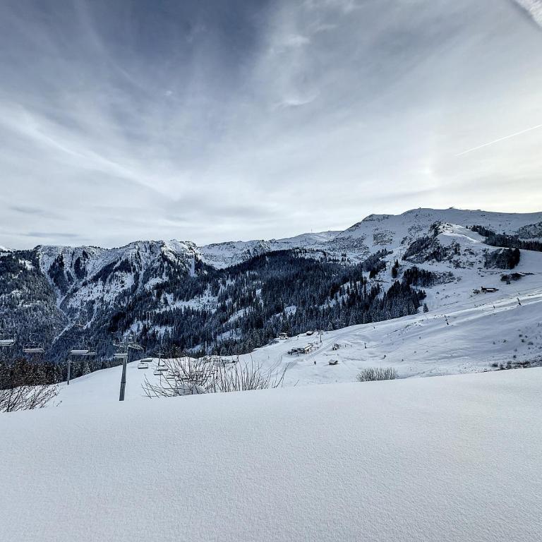 Ski1600 - GrandMassif - Appartement 1 Chambre - 2