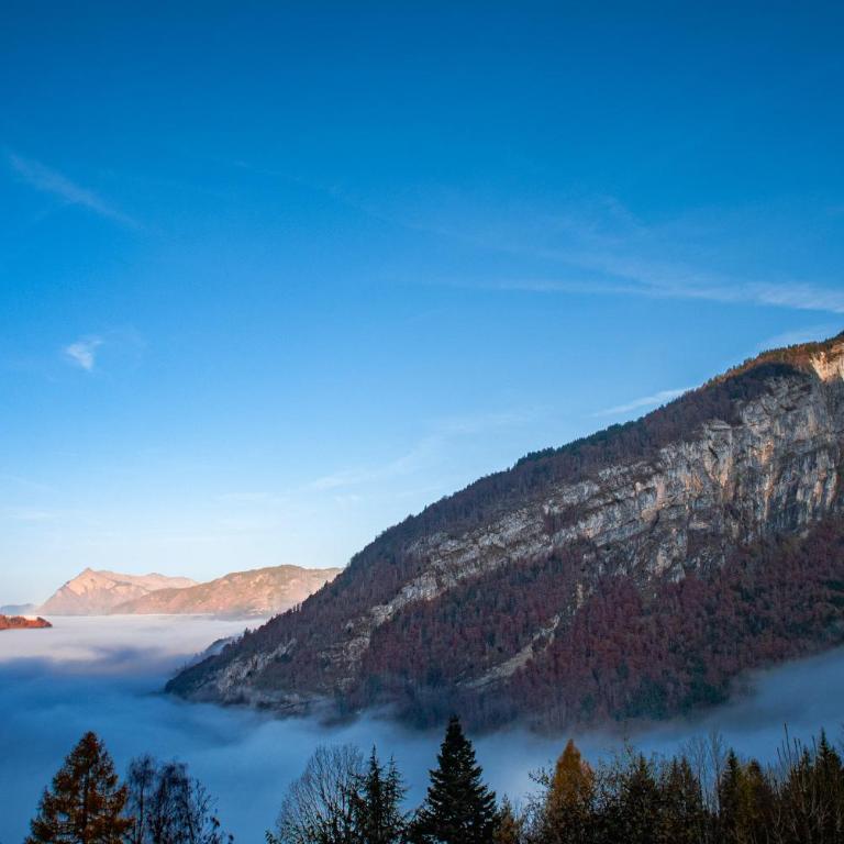 Ski1600 - GrandMassif - Appartement 1 Chambre - 21