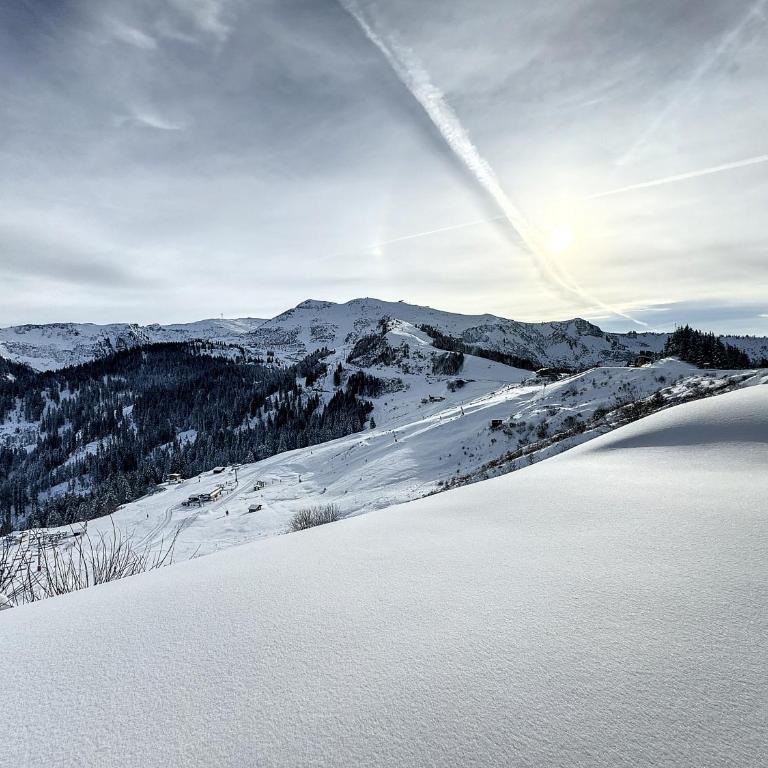 Ski1600 - GrandMassif - Appartement 1 Chambre - 20