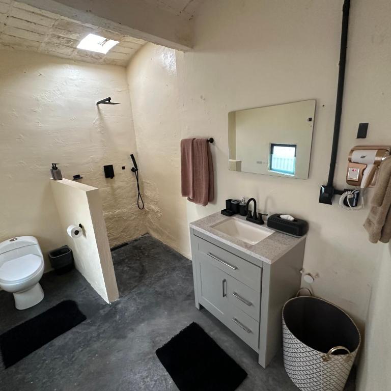 509 Accommodation - King Studio with Sofa Bed - 4