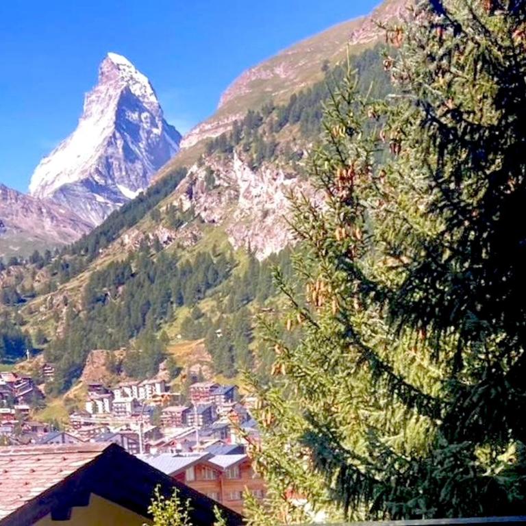 Apartment Snowball, Modern, cosy, Matterhorn views - Apartamento de 2 dormitorios - 55