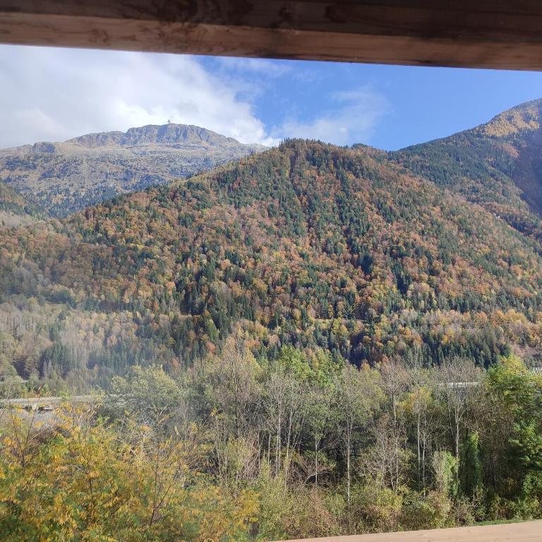 Le Bois Cosy appartement 4 étoiles 6 personnes, ACCES SKI ALPE D'HUEZ GRAND DOMAINE A 3 K M - Appartement 2 Chambres - Vue sur Lac - 54