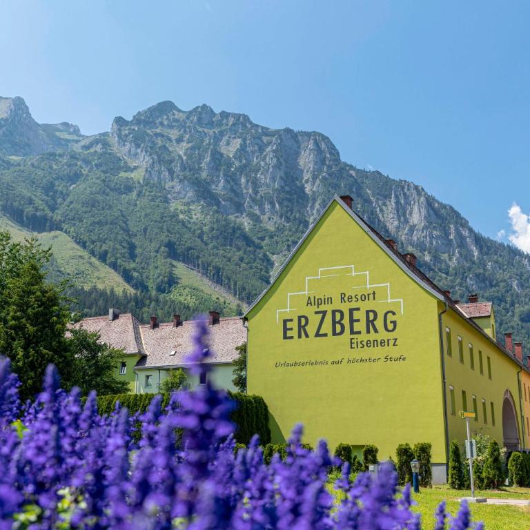 Erzberg Alpin Resort Apartments by ALPS RESORTS - Deluxe Apartment - 45