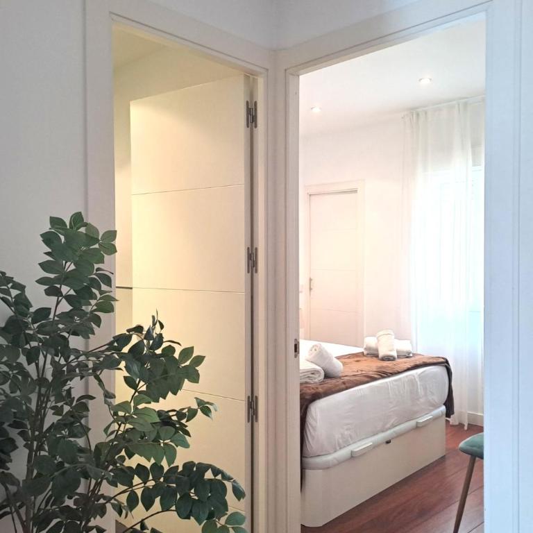 Escorial 16 4ºA - Apartamento de 2 dormitorios - 17