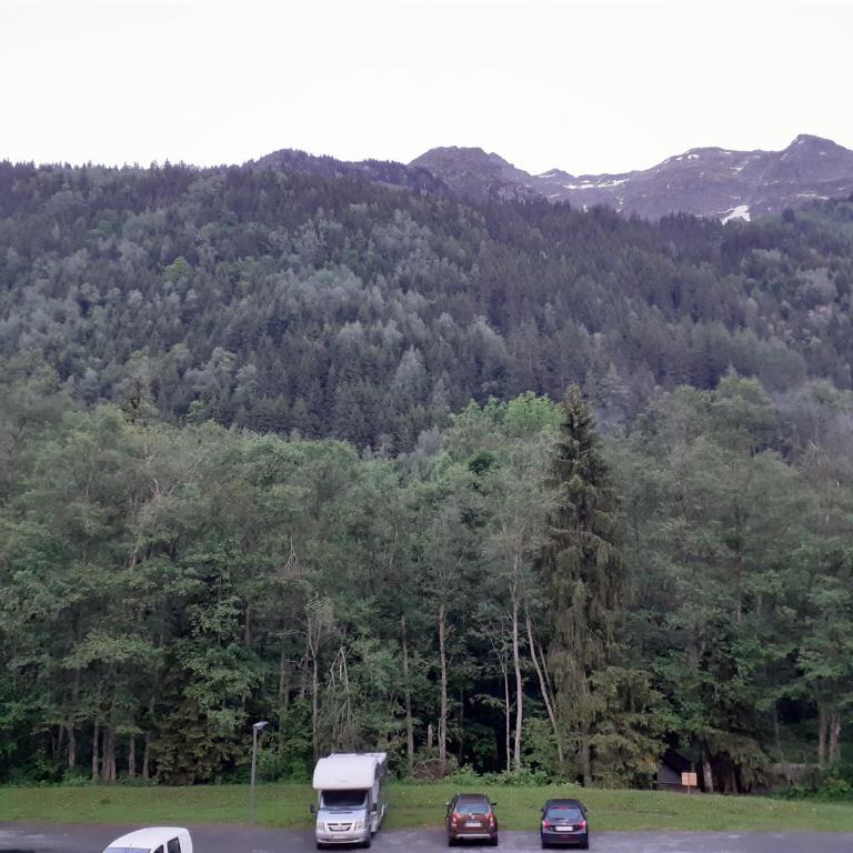 Appartement vue montagne proximité ski et parcours TMB - Apartamento con vistas a las montañas - 4