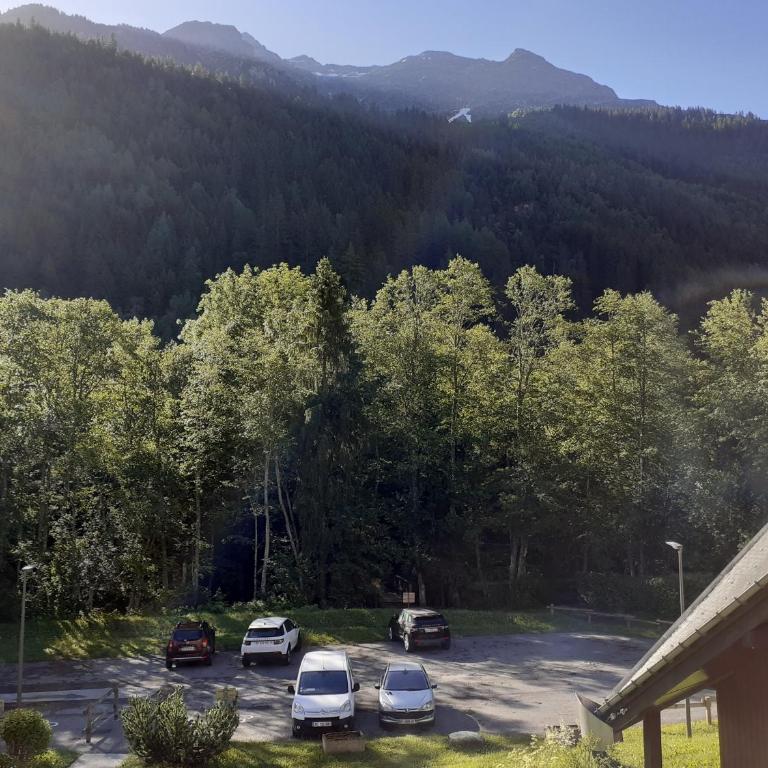 Appartement vue montagne proximité ski et parcours TMB - Apartamento con vistas a las montañas - 2