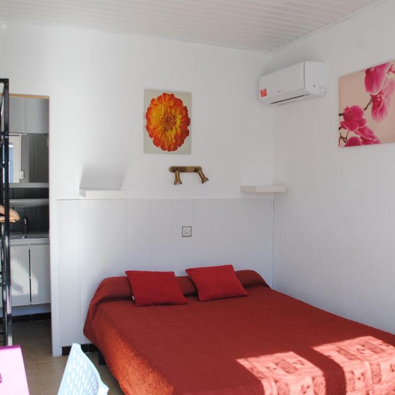 Hôtel le Calypso - Chambre Double - 3