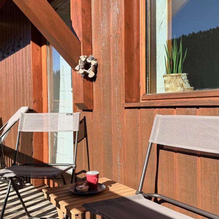 Appartement cosy 5-6p aux pieds des pistes 2 chambres 2 sdb - Appartement 2 Chambres - 18