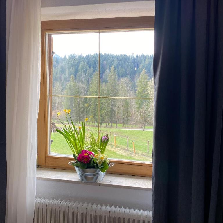 Haus Tanne Abtenau - Doppelzimmer mit Bergblick - 4