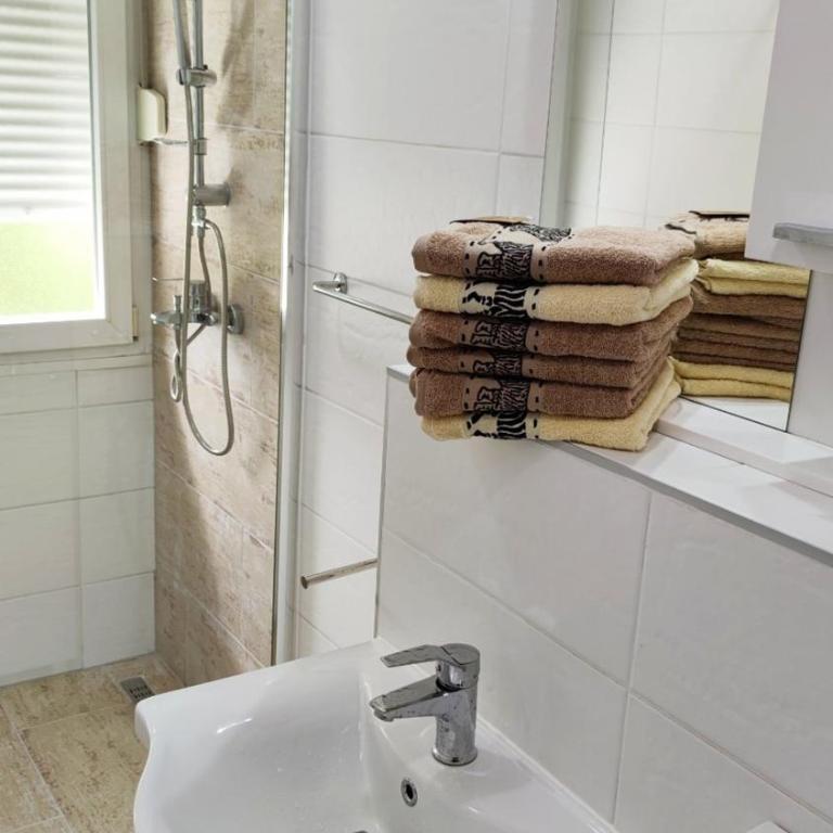 Apartment Otoka - Apartman sa 1 Spavaćom Sobom - 22