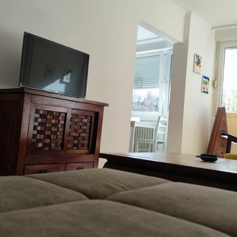 Apartment Otoka - Apartman sa 1 Spavaćom Sobom - 19