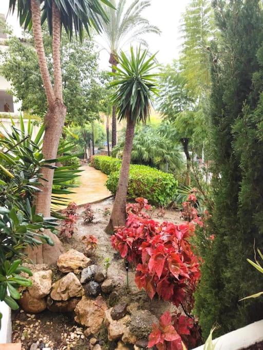 Costalita Direct Beach Access Apartment - Apartamento de 2 dormitorios - 16