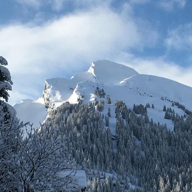 Chalet Sophia - Chalet - 19