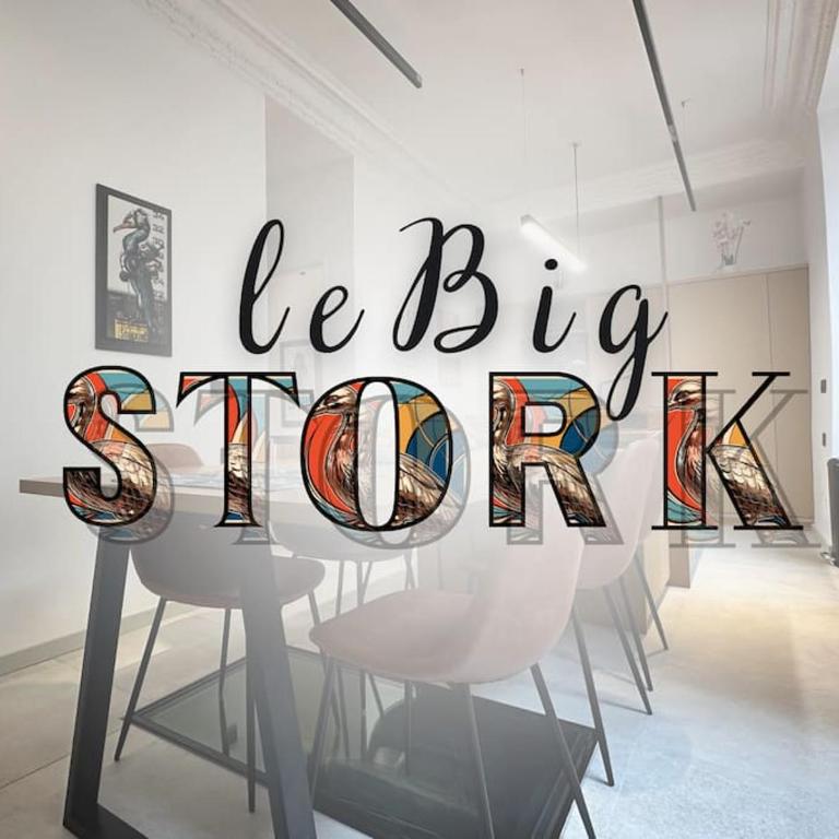 Le Big Stork - Appartement - Centre Historique - Apartment mit 3 Schlafzimmern - 44