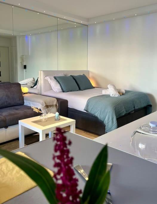 Studio premium St Louis - emplacement idéal - Appartement 1 Chambre - 1