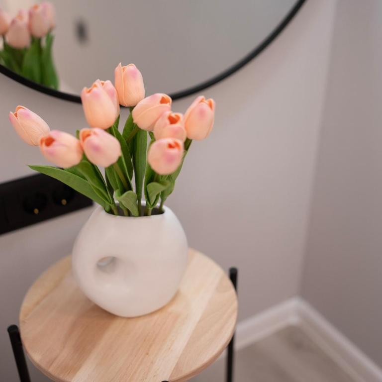 Studio Rosé - One-Bedroom Apartment - 4