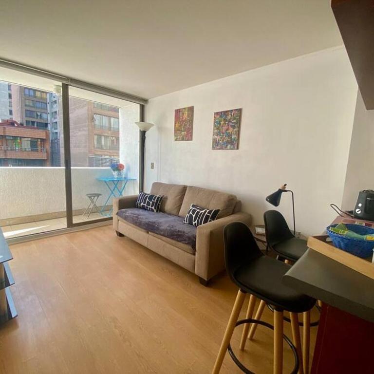 Hermoso departamento Santiago - Apartamento de 1 dormitorio - 10