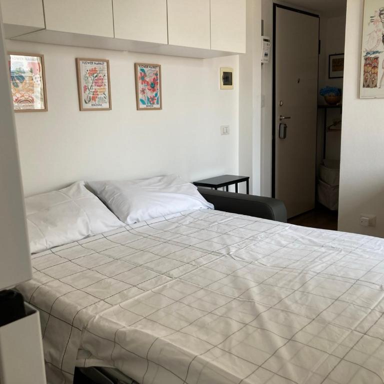 Monolocale con ampio terrazzo - Appartamento con 1 Camera da Letto - 10