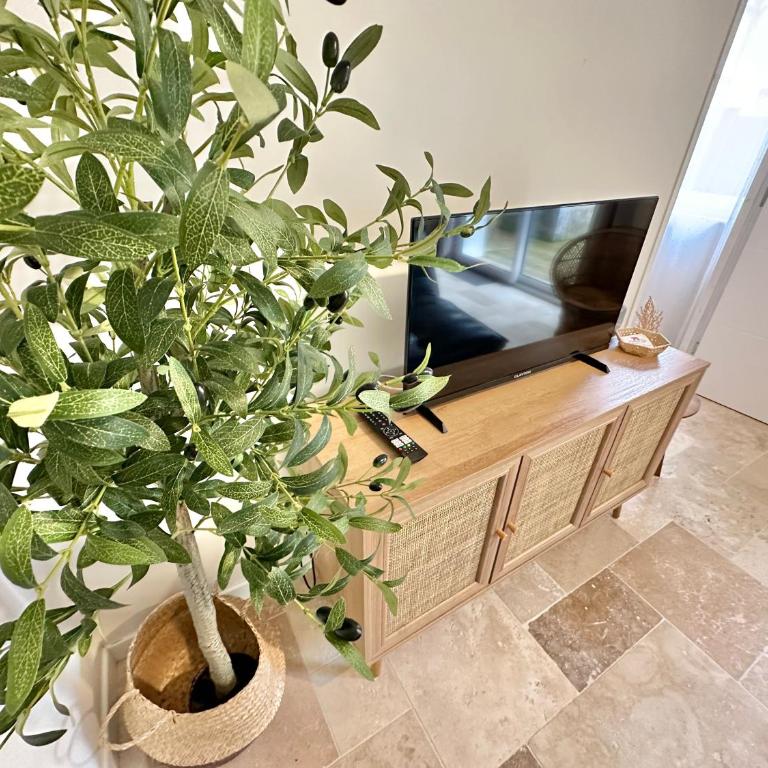 Pilou et Nicole - Appartements tout confort idéalement situés à Berck-Plage - Appartamento con 1 Camera da Letto e Terrazza - 9