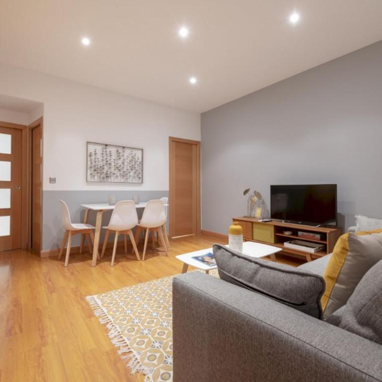 2BD 1BTH furnished - Sol - spacious - Two-Bedroom Apartment - 4