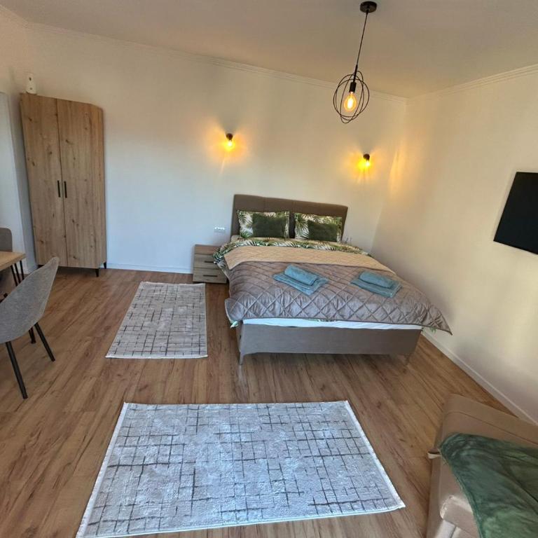 Crkvina apartman - Apartman s 1 Spavaćom Sobom i Balkonom - 6