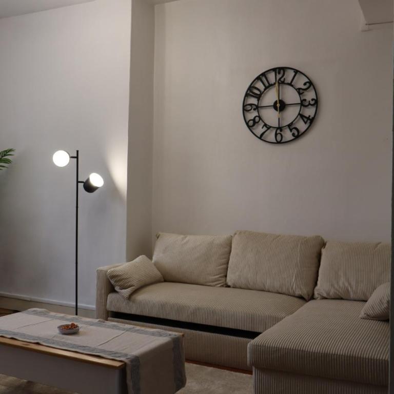 Grand T2 - Rue de la République - Appartement 1 Chambre - 4