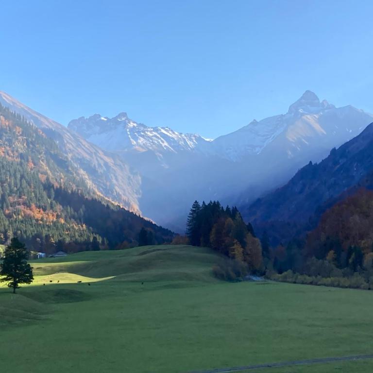 Alpenrose komfortable Ferienresidenz - Apartment mit 1 Schlafzimmer - 17