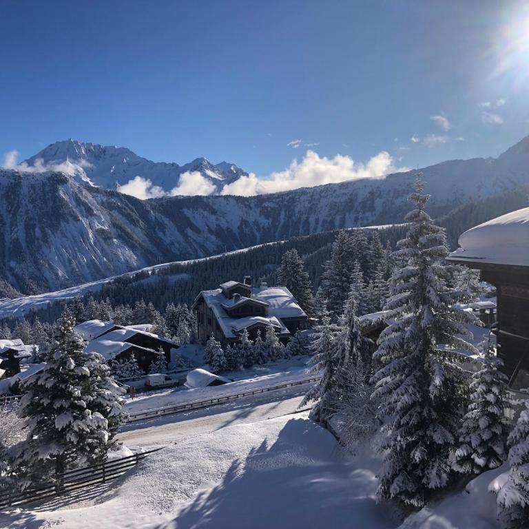 Courchevel 1850 - 4 personnes - ski aux pieds - wifi gratuit - One-Bedroom Apartment - 2