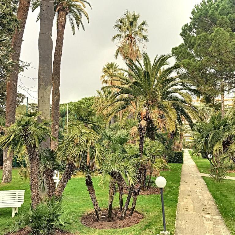 A 2 pas des plages piscine 183L STENJ - Studio mit Gartenblick - 9