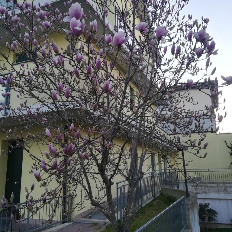 La Magnolia di Ravenna - Casa con 1 Camera da Letto - 21