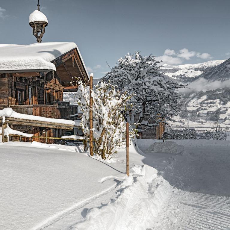 Alpen-Chalet-Pankraz - Chalet mit 3 Schlafzimmern - 4