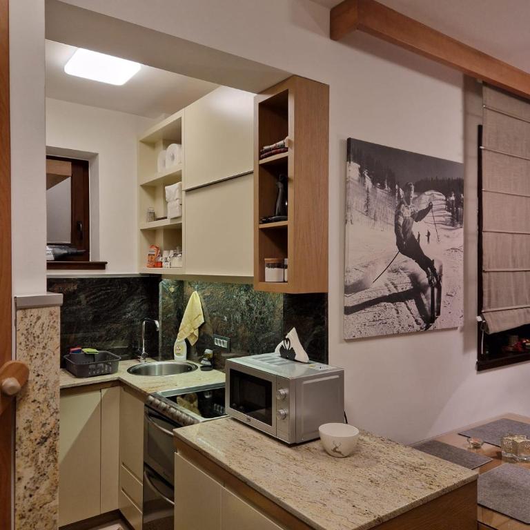 Vila Pahulja A3 - Apartman sa 1 Spavaćom Sobom - 9