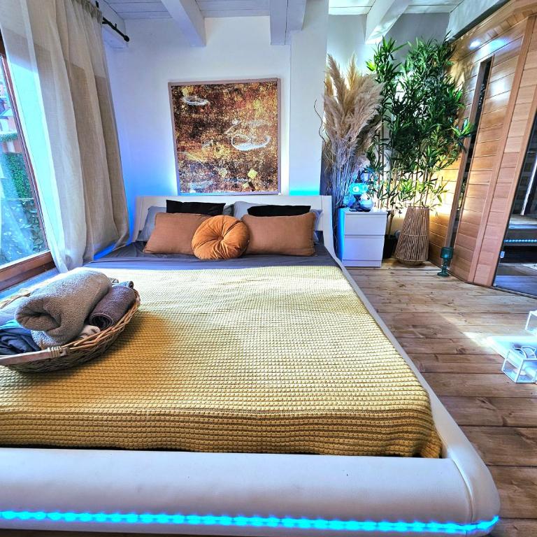 AMA Esclusive SPA Bologna - One-Bedroom Apartment - 16