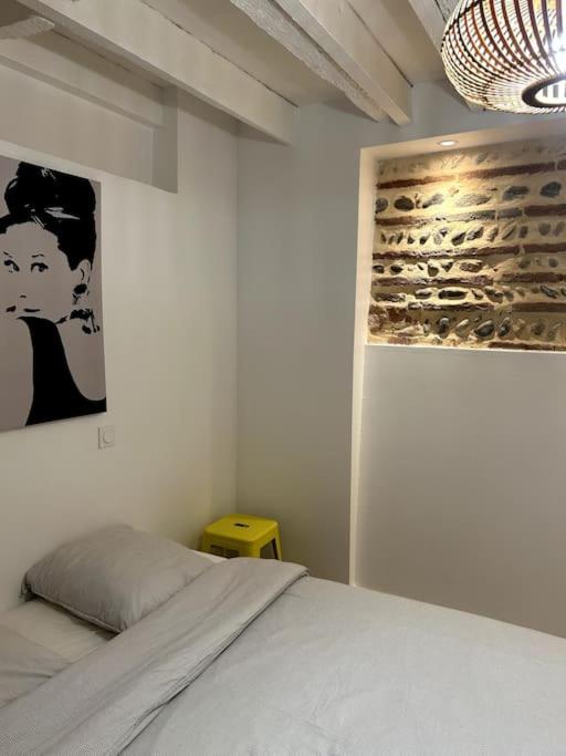 Le Charmant - Appartement Calme et Cosy au coeur de Toulouse - Proche Transports - One-Bedroom Apartment - 5
