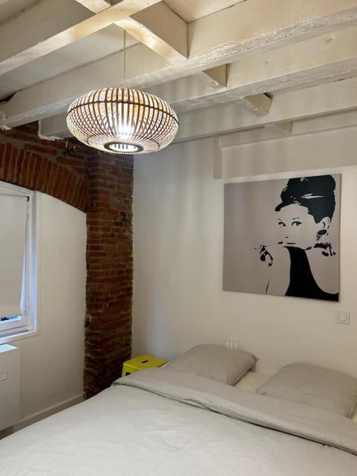 Le Charmant - Appartement Calme et Cosy au coeur de Toulouse - Proche Transports - One-Bedroom Apartment - 17