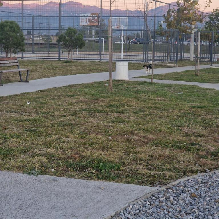 City Haven Deluxe - Apartman sa 2 Spavaće Sobe - 16