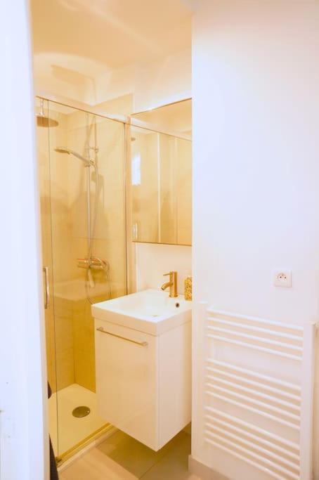 Le Petit Félix, à 2 pas du lac & du centre ville - Apartment mit 1 Schlafzimmer - 8