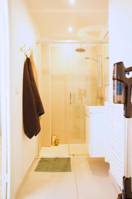 Le Petit Félix, à 2 pas du lac & du centre ville - Apartment mit 1 Schlafzimmer - 6