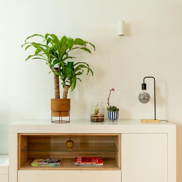 Casa Porta Metronia - Appartamento con 1 Camera da Letto - 19
