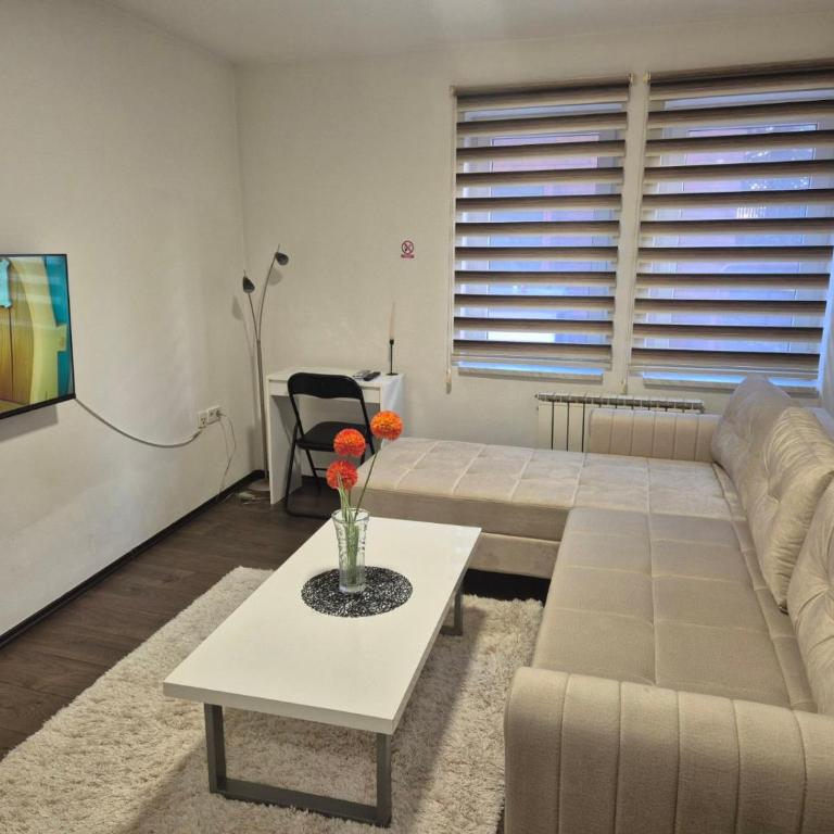 Apartman Centar S Sarajevo - Apartman sa 1 Spavaćom Sobom - 1