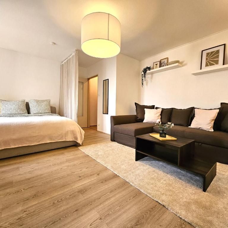 Studio Cosy- Hyper Centre Ville - Appartement 1 Chambre - 1
