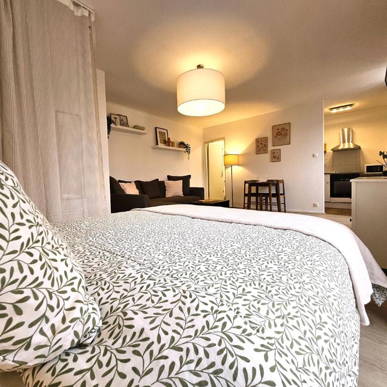 Studio Cosy- Hyper Centre Ville - Appartement 1 Chambre - 7