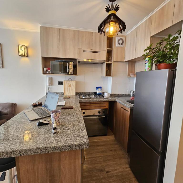 Depto Carvajal - One-Bedroom Apartment - 3