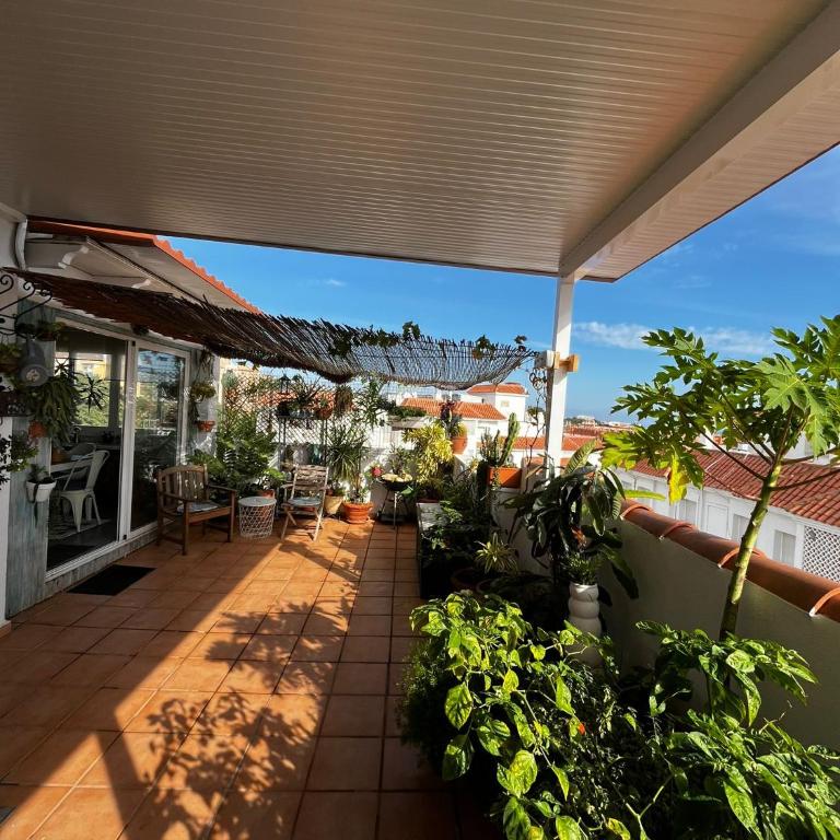 Las Orquideas - Apartamento de 2 dormitorios - 1