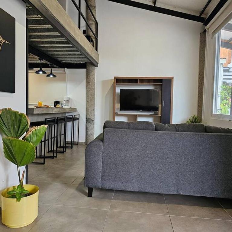 Atractivo Estudio en Zona Romántica L1 - One-Bedroom Apartment - 9