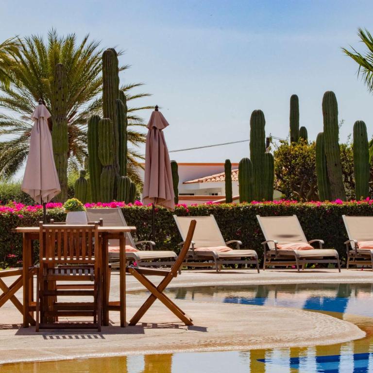 Cabo Cottage Villa Neptuno Charming Villa in Cabo Quiet View Ocean Community - Villa de 3 dormitorios - 51