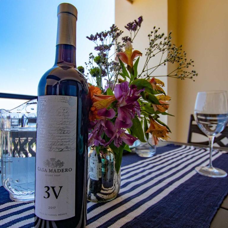 Cabo Cottage Copala · Stunning * Luxury Ocean View 2BR*Resort Living - Apartamento con vistas al mar - 78