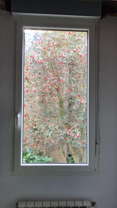 Tranquilo y bonito con preciosas vistas - Apartment mit 2 Schlafzimmern - 23