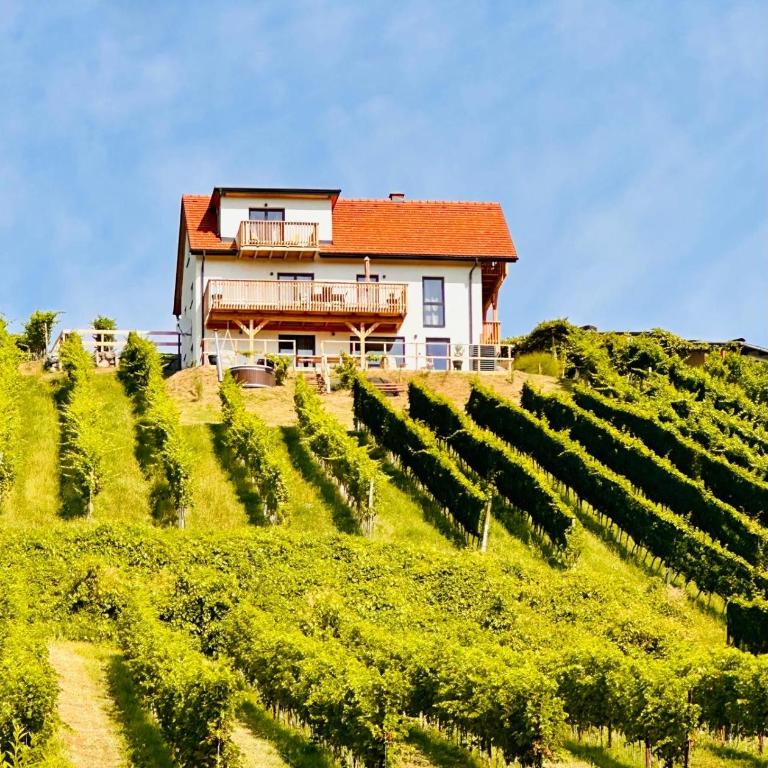 Rebenchalet - Ferienhaus mit 4 Zimmern - 1